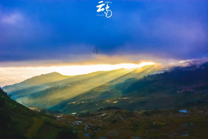 救援小巨鳄