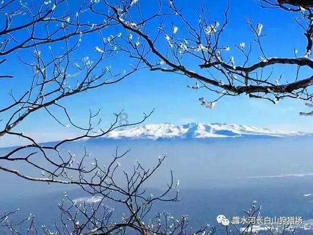 粉色凯蒂屋逃脱