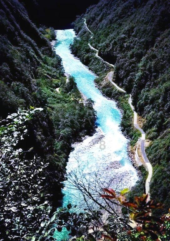 秦海璐参加《中餐厅》被吐槽情商低，从哪些细节可以看出来？游戏画面