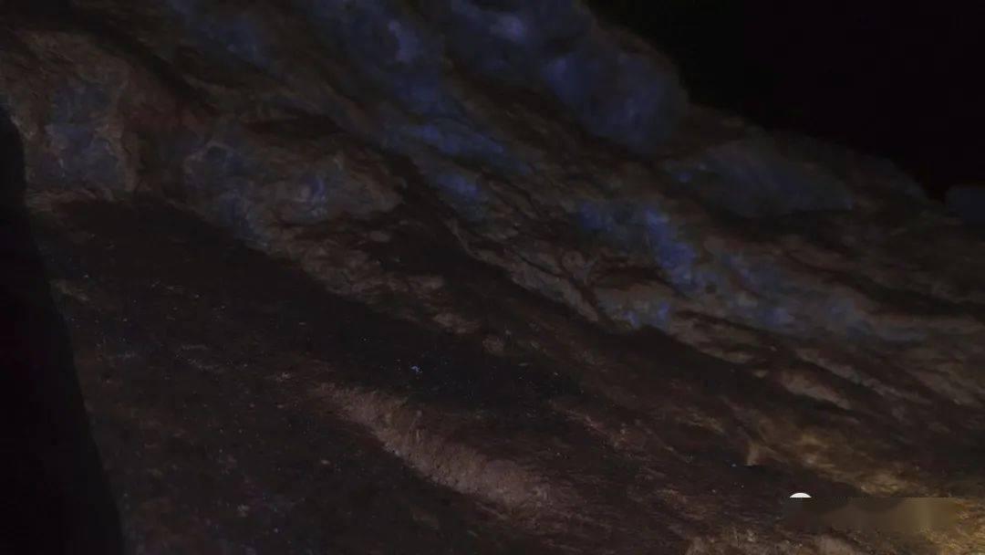 巧虎踢足球