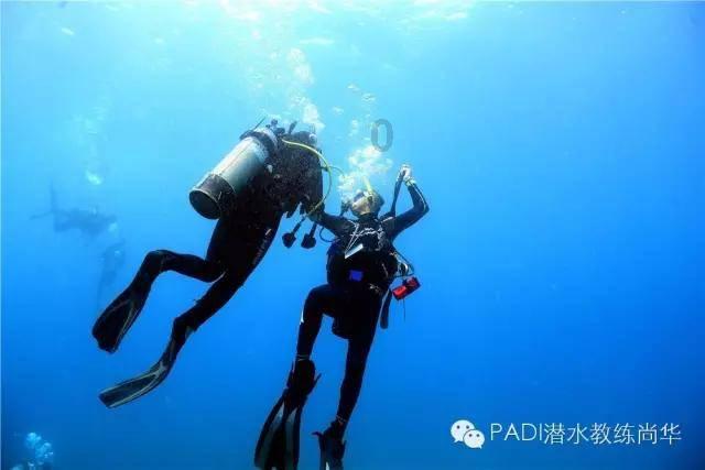 珠三角与长三角哪个地区发达？游戏画面