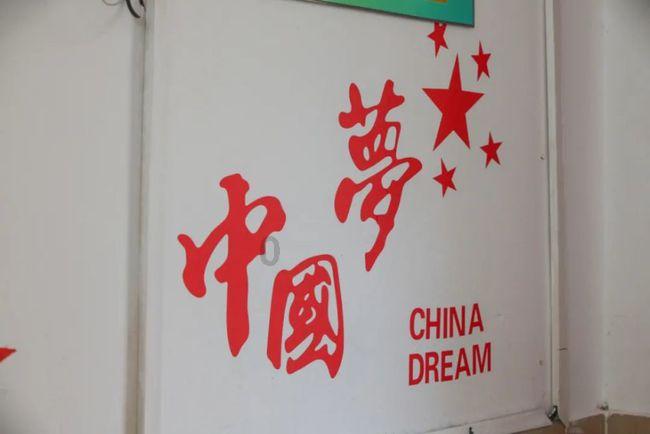 无尾猫真的太可爱了，虽然是猫，但是却长着“兔子尾巴”