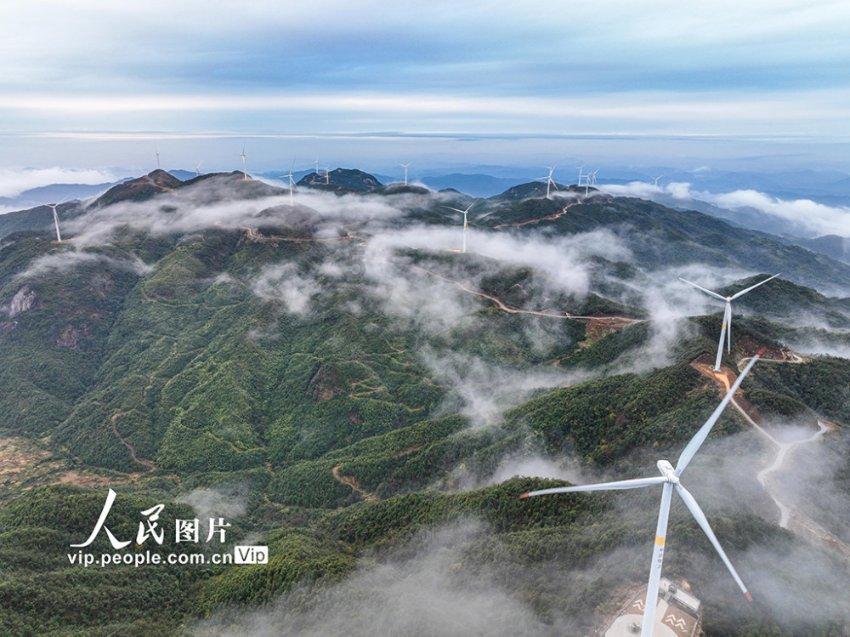 春雨直播app
