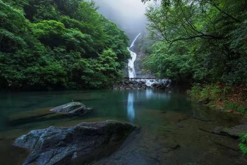 太保寿险副总经理叶蓬：推动队伍“三化”转型，把存量业务管理重