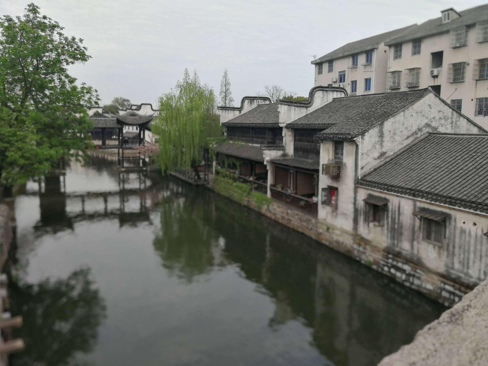 龙年临近,10000条龙“惊现”上海的这个艺术馆